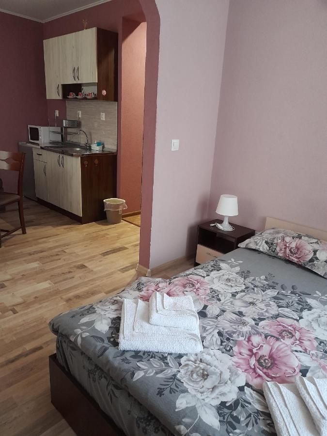 Guest Rooms Ider 사파레바바냐 외부 사진