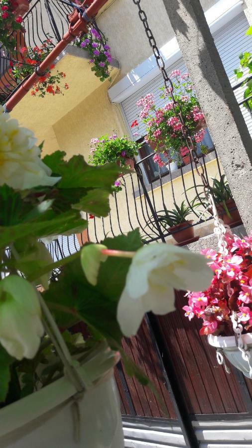 Guest Rooms Ider 사파레바바냐 외부 사진